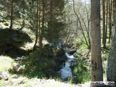 El pinar del Puerto de Navafría;castañar del tiemblo;camino smith;nieve en madrid